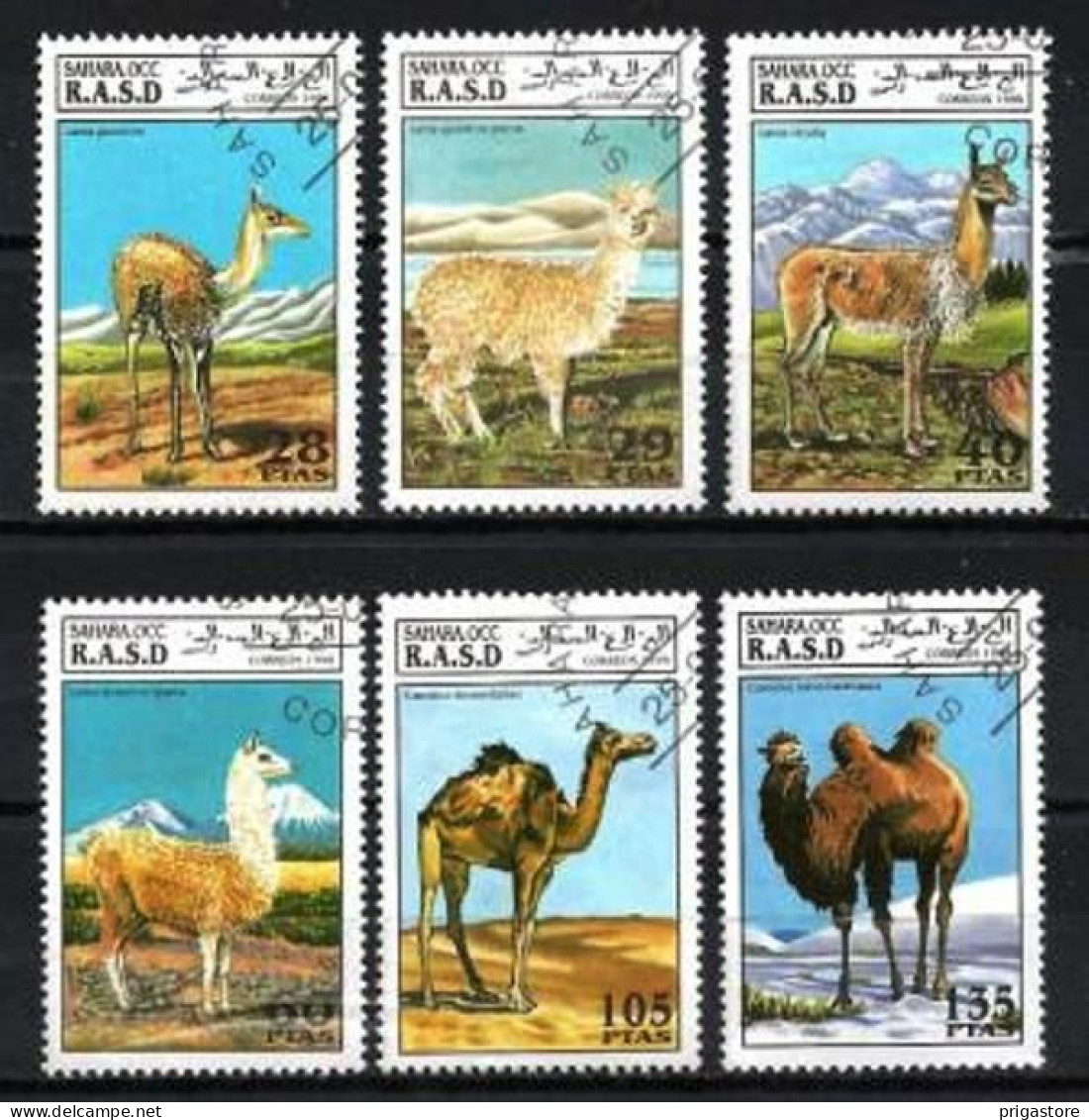 Sahara Occidental 1994 Animaux Camélidés (103) Yvert N° Non Répertorié Oblitérés Used - Autres - Afrique