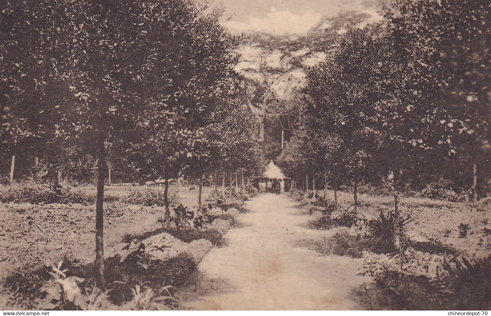 Préfecture Apostolique De Matadi  Tumba Jardin Legumier - Congo Belge