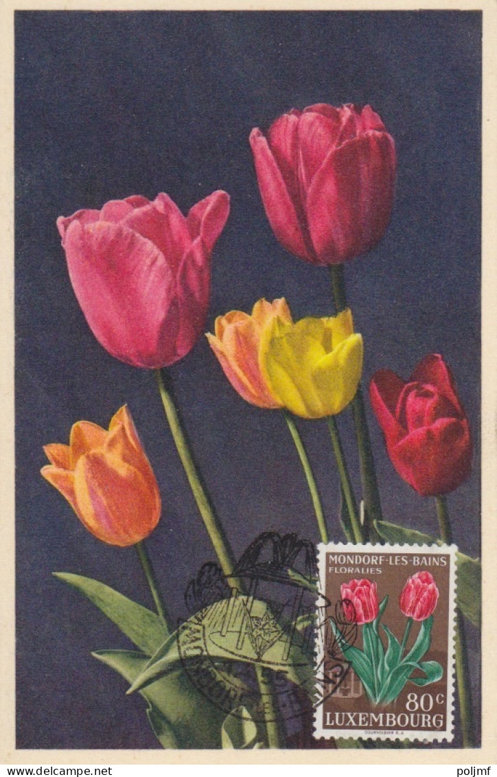 CP Max "Tulipes, Narcisses, Jacinthes) Obl. Mondorf Les Bains Le 1/4/55 Sur N° 490 à 493 - Maximumkaarten