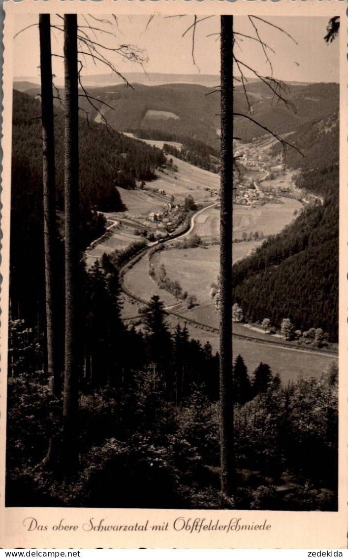 H0879 - Obstfelderschiede Oberweißbach Schwarzatal - Photo Henkel - Oberweissbach