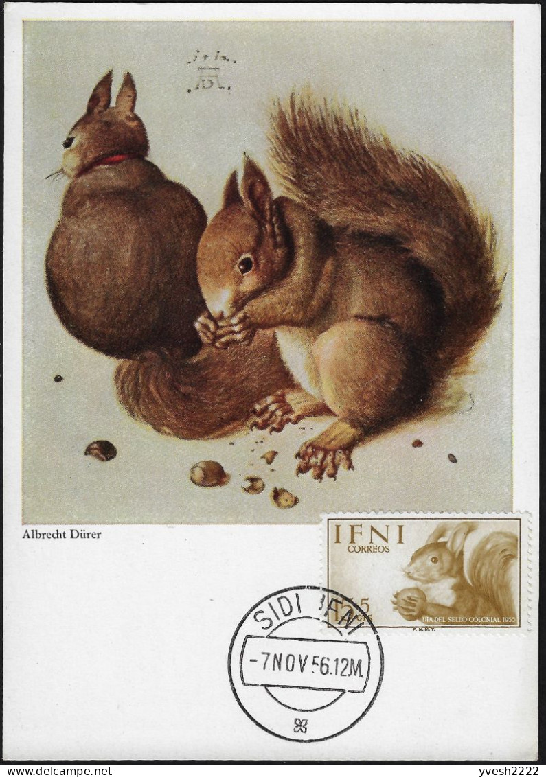 Ifni 1955 (Maroc Depuis 1969) Y&T 100 Sur Carte Maximum. Journée Du Timbre, écureuil - Rodents