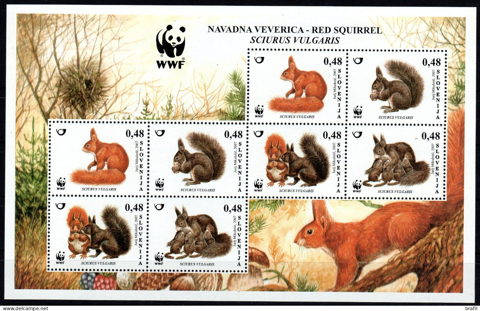 2007 Slovenia, WWF Scoiattolo Minifoglio, Serie Completa Nuova (**) - Eslovenia