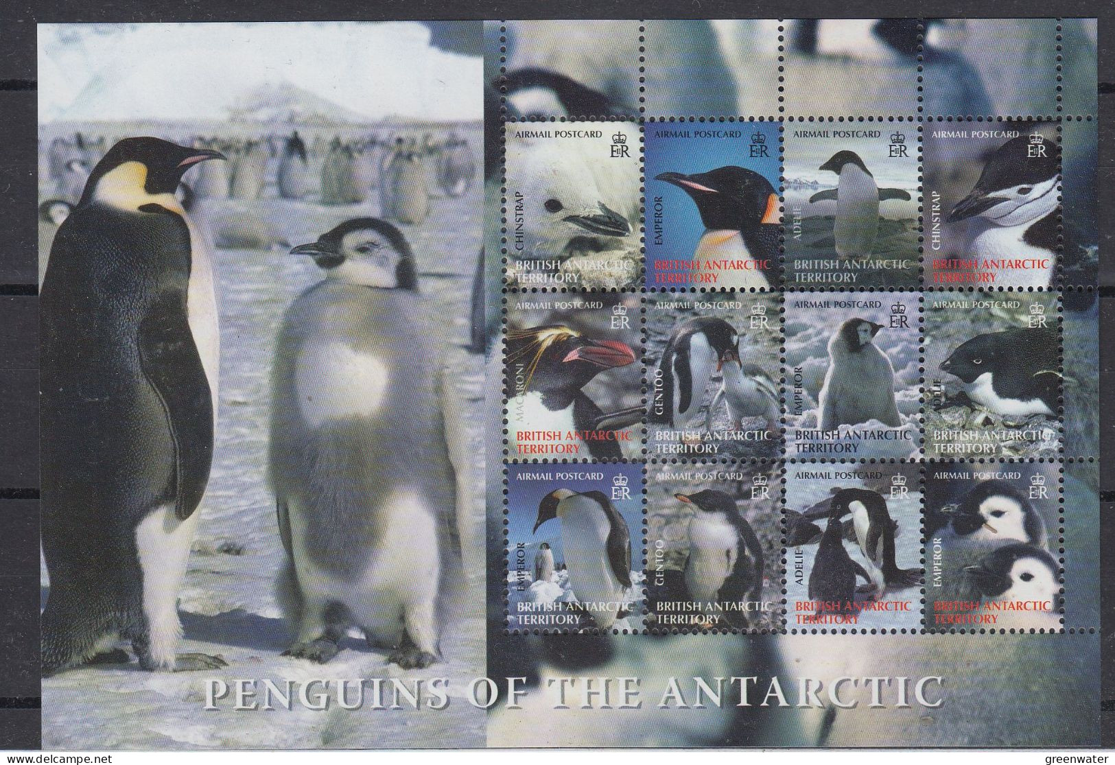 British Antarctic Territory (BAT) 2006 Penguins Of The Antarctic M/s ** Mnh (ZO150) - Ongebruikt