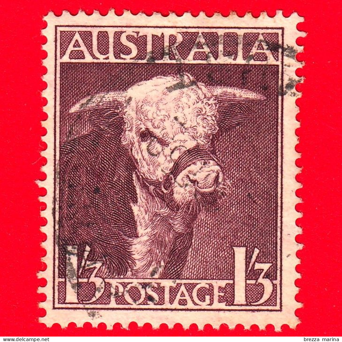 AUSTRALIA - Usato - 1948 - Animali (Fauna) - Bestiame - Bovini Hereford -  1'3 - Gebruikt