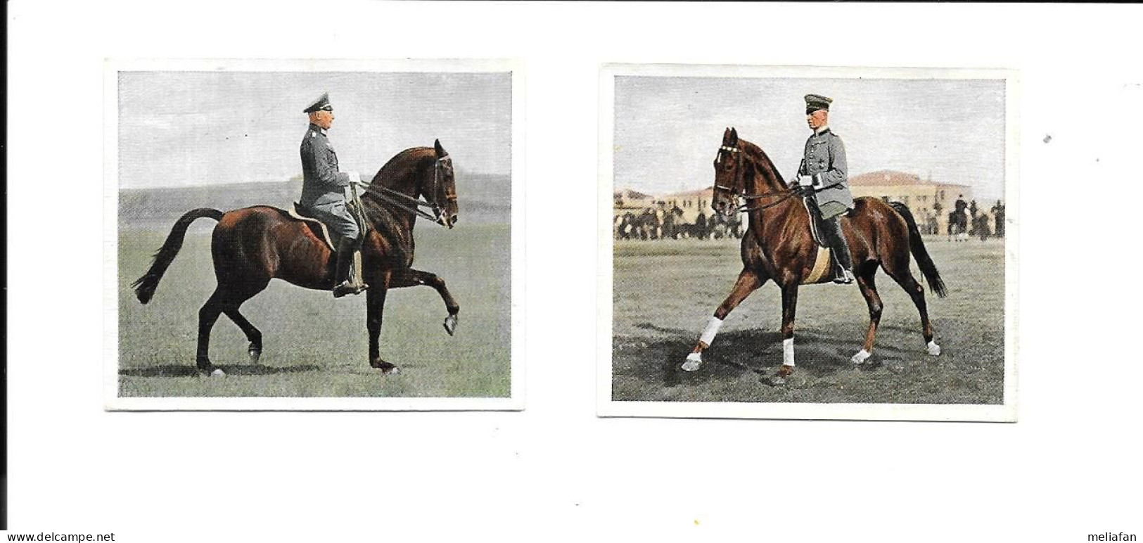 DL17 - IMAGES CIGARETTES BULGARIA - DEUTSCHER SPORT - EQUITATION - MAJOR BURTNER ET CARACALLA - RITTMEISTER GERHARD - Ruitersport