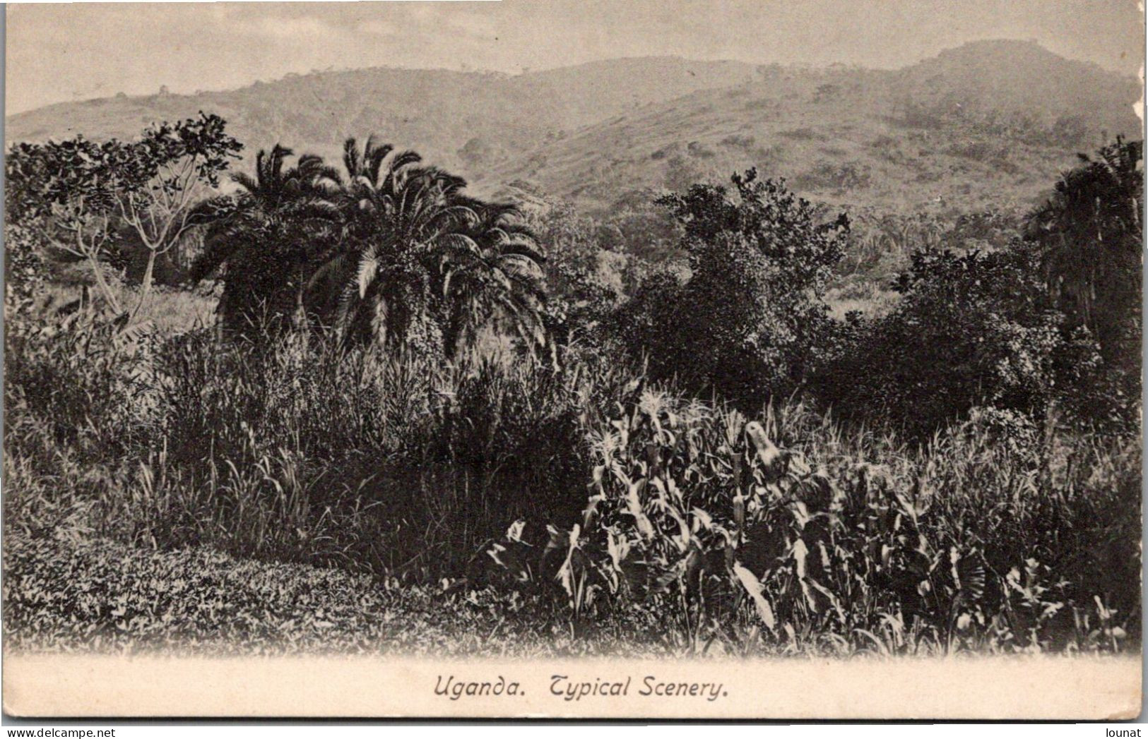 UGANDA - Typical Scenery - Oeganda