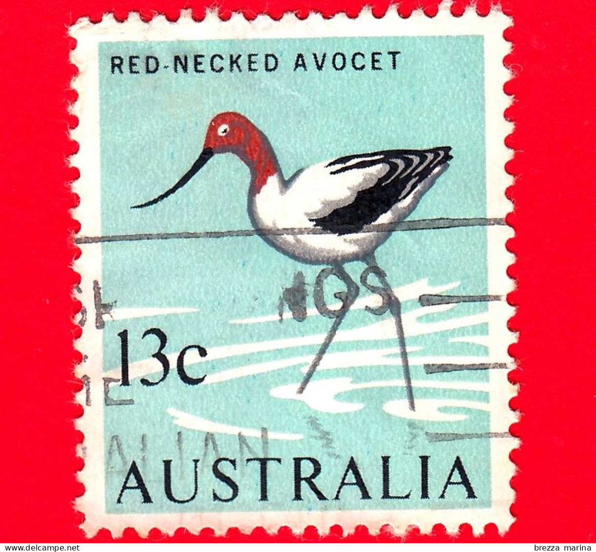 AUSTRALIA - Usato - 1966 - Uccelli - Avocetta Dal Collo Rosso - Red-necked Avocet (Recurvirostra Novaehollandiae) - 13 - Used Stamps
