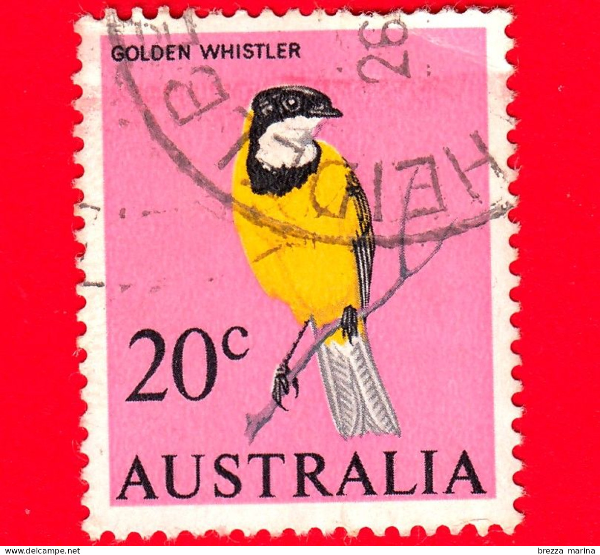 AUSTRALIA - Usato - 1966 - Uccelli - Fischiatore D'Oro - Golden Whistler (Pachycephala Pectoralis) - 20 - Gebraucht