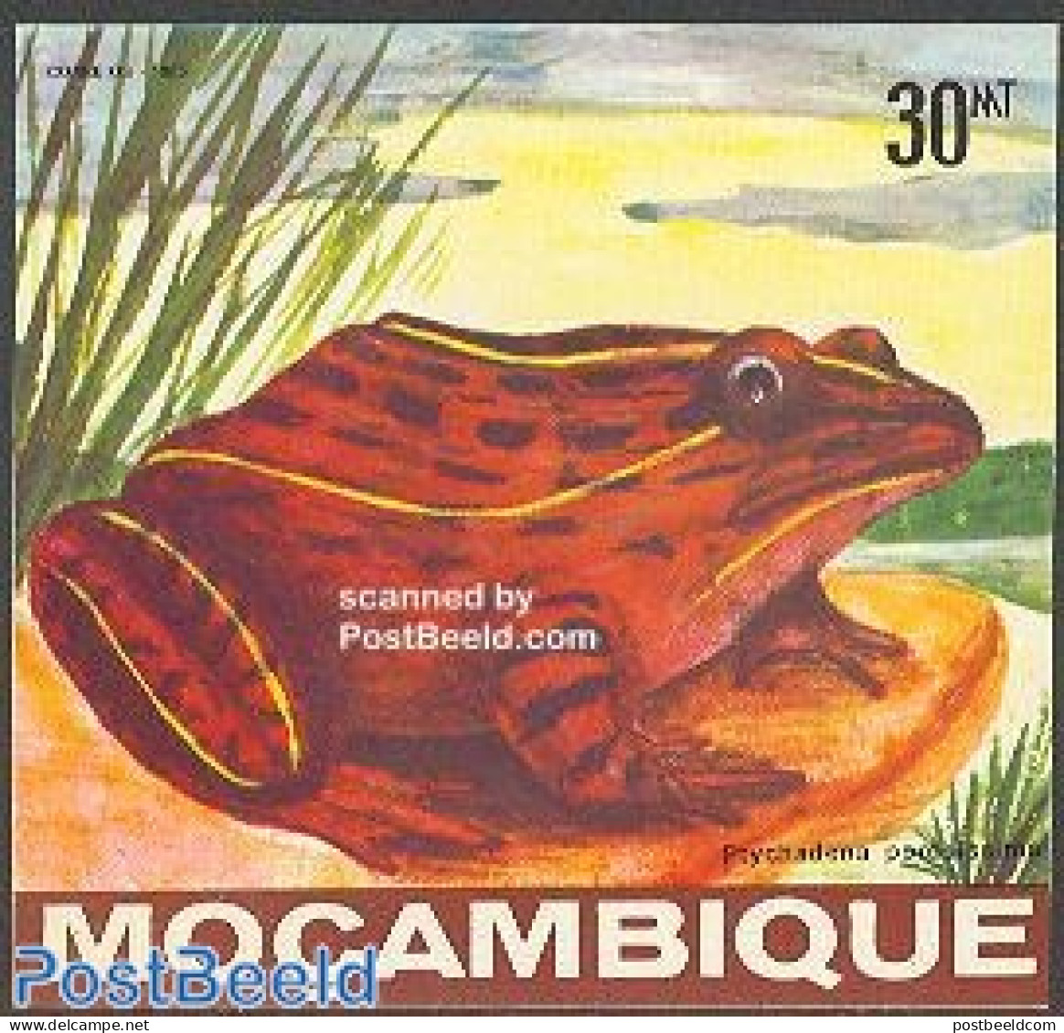 Mozambique 1985 Frogs S/s, Mint NH, Nature - Frogs & Toads - Reptiles - Mozambique
