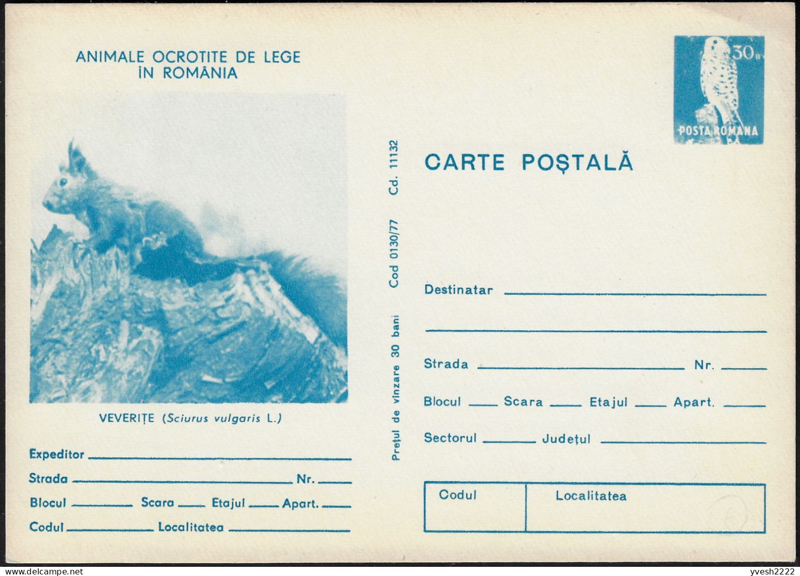 Roumanie 1977. Entier Postal, Carte Animaux Protégés Par La Loi En Roumanie. Écureuil, Timbre Hibou - Knaagdieren
