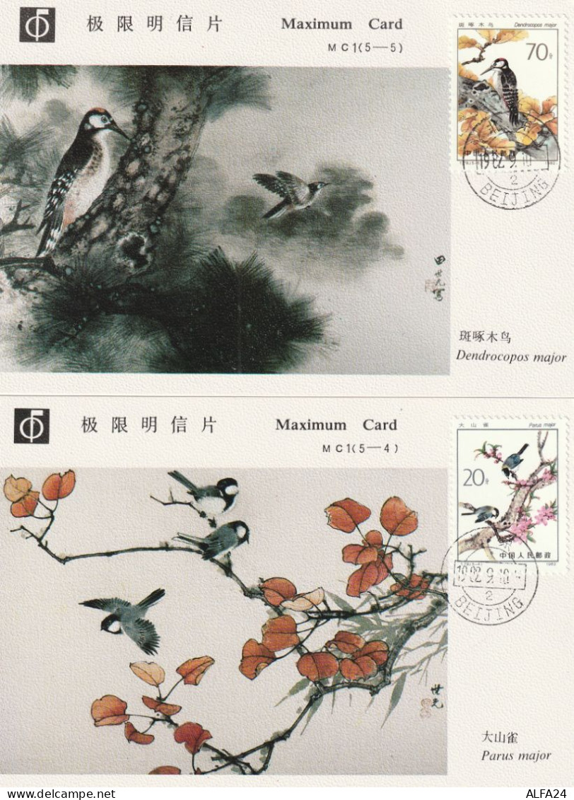 MAXIMUM CARD 5 CINA (XA103 - Maximumkaarten