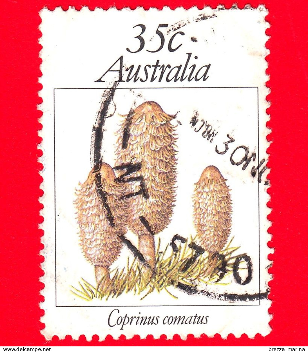 AUSTRALIA - Usato - 1981 - Funghi - Coprinus Comatus - 35 - Oblitérés