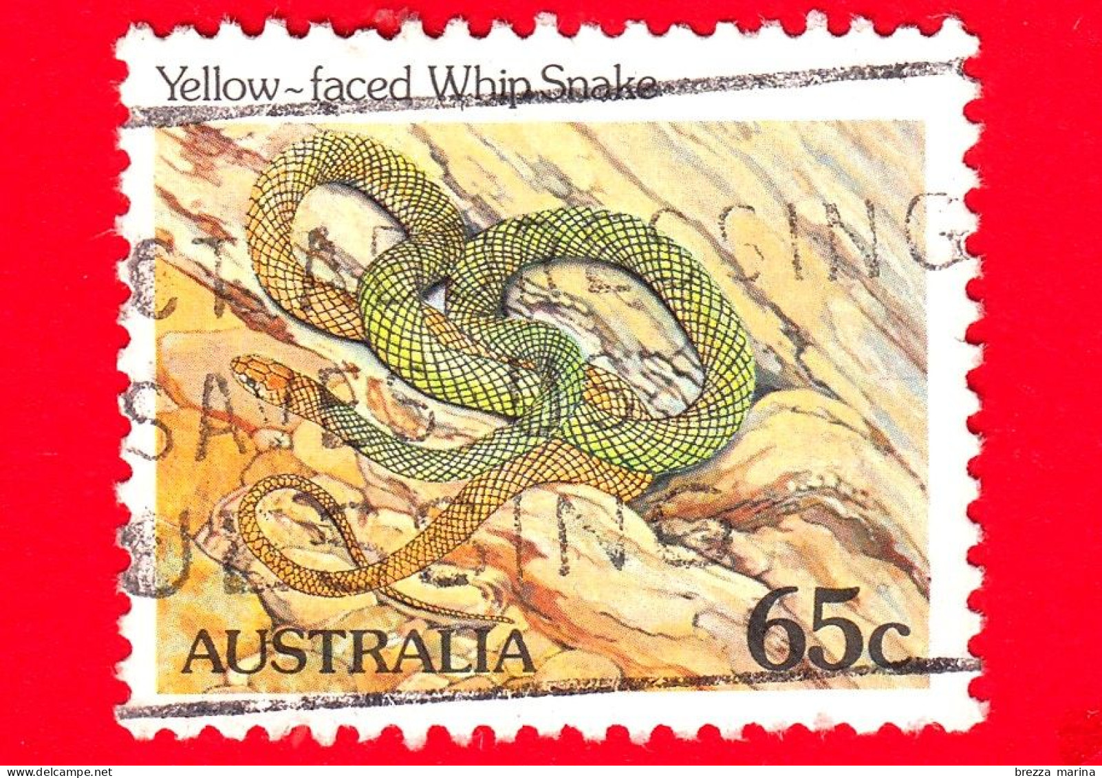 AUSTRALIA - Usato - 1984 - Rettili - Serpenti - Yellow-faced Whip Snake  - 65 - Oblitérés