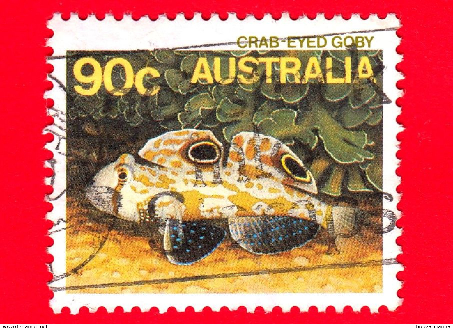 AUSTRALIA - Usato - 1985 - Pesci - Vita Marina - Ghiozzo - Crab-eyed Goby  - 90 - Used Stamps