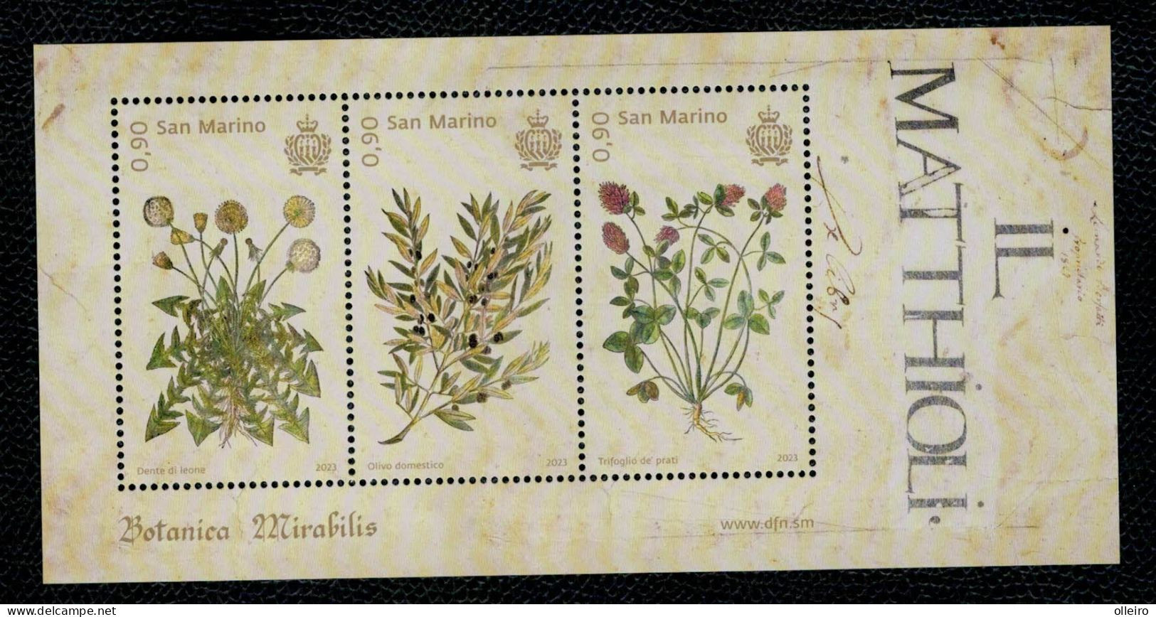 San Marino 2023 Botanica Mirabilis 3v In Foglietto Complete Set ** MNH - Nuovi
