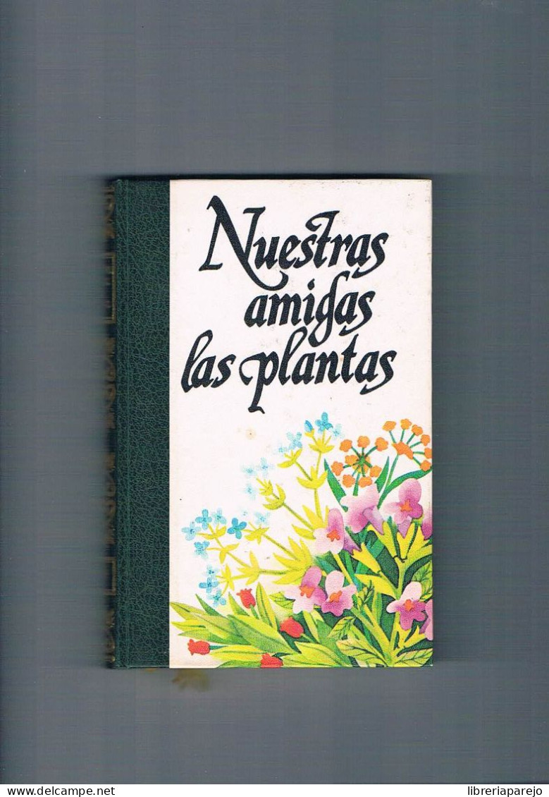 Nuestras Amigas Las Plantas 2 Amigos De La Historia 1977 - Autres & Non Classés