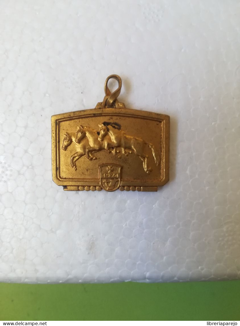 Medalla Antigua Caballos 1974 - Non Classés