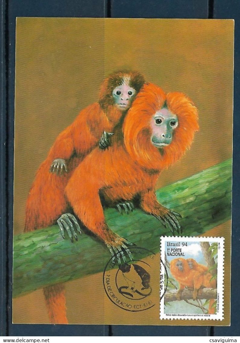 Brasil (Brazil) - 1994 - Monkeys - Maximum Card (##3) - Apen