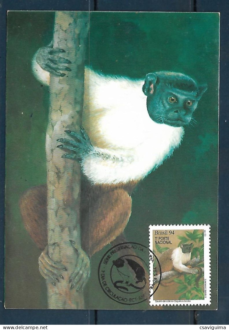 Brasil (Brazil) - 1994 - Monkeys - Maximum Card (##2) - Singes