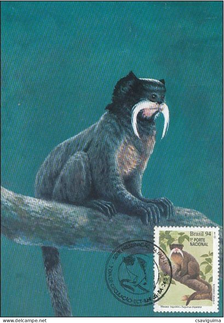 Brasil (Brazil) - 1994 - Monkeys - Maximum Card (##1) - Singes