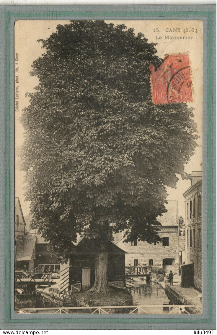 CPA (76) CANY - Thème : ARBRE - Aspect Du Marronnier En 1905 - Cany Barville