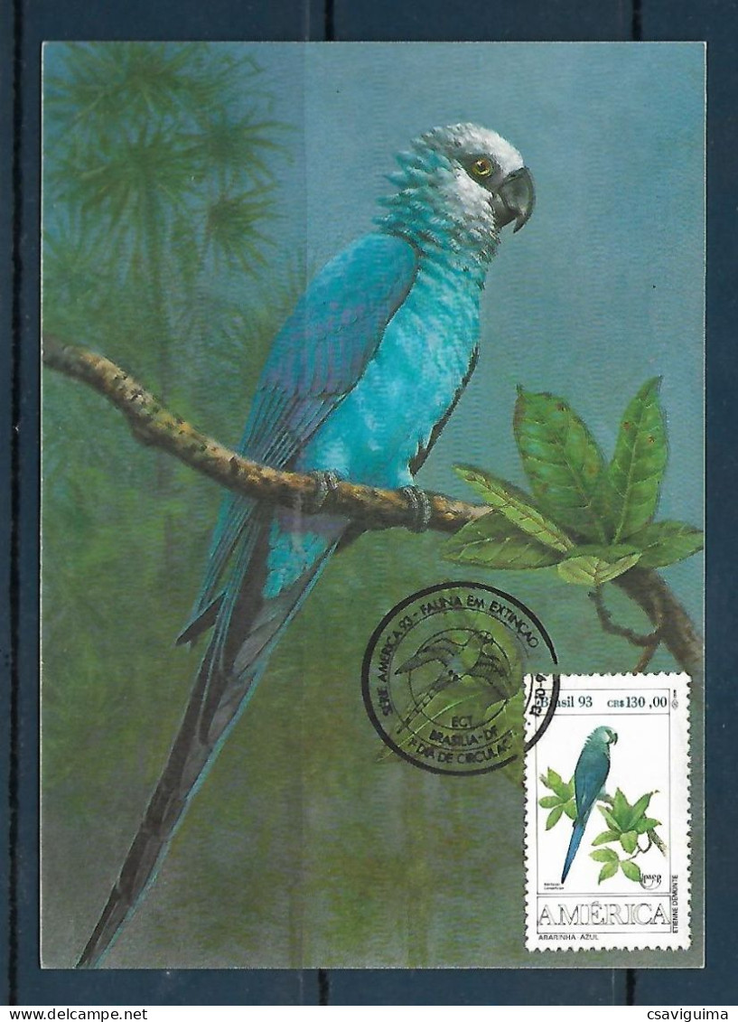 Brasil (Brazil) - 1993 - Parrots - Maximum Card (##9) - Pappagalli & Tropicali