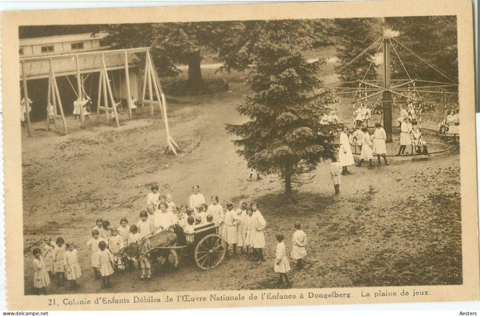 Waals-Brabant; Dongelberg, 12 Cartes Postales différentes - non voyagé. (24 scans)