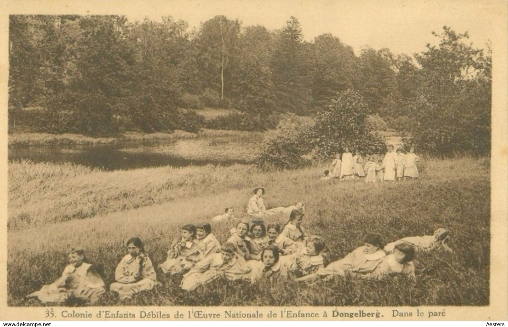 Waals-Brabant; Dongelberg, 12 Cartes Postales différentes - non voyagé. (24 scans)