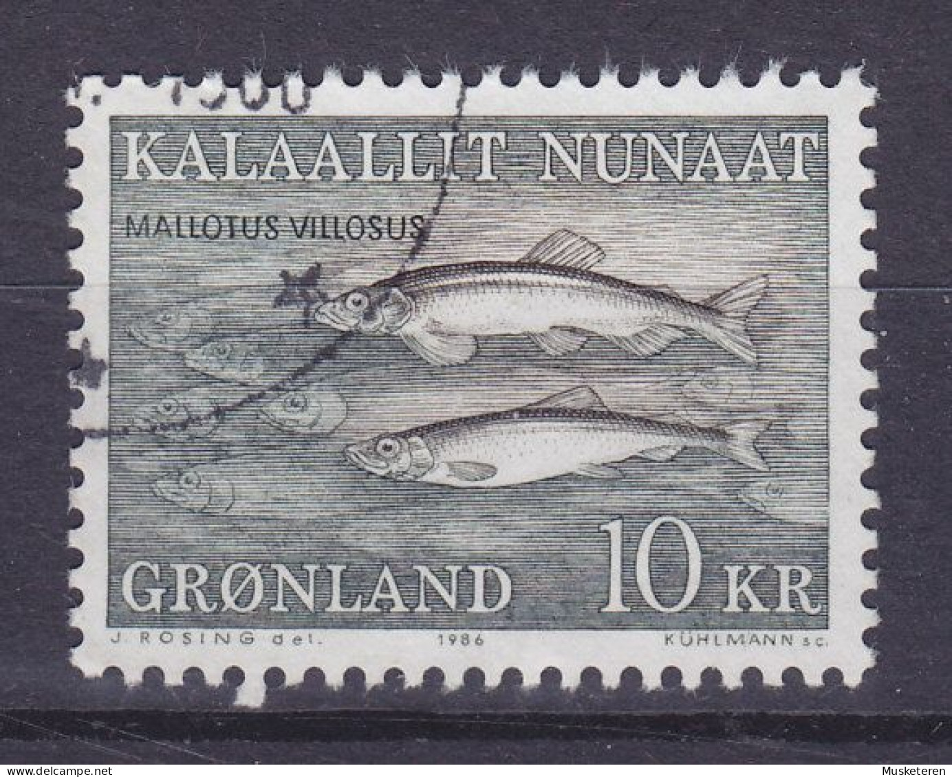 Greenland 1986 Mi. 168, 10.00 Kr Meerestiere Fish Fisch Poisson Lodde - Used Stamps