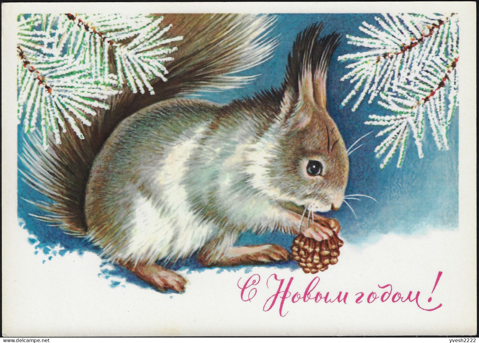 URSS 1981. Entier Postal Carte Pour L'étranger à 4 Kop. Bonne Année. Écureuil Et Pomme De Pin - Rodents