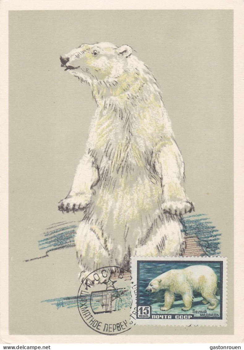Carte Maximum Russie Russia 1904 Ours Bear - Maximumkarten