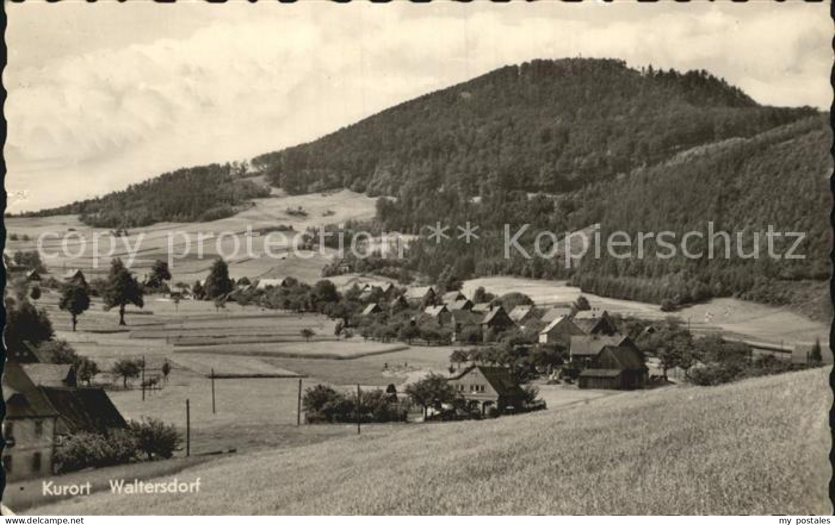 72404230 Waltersdorf Zittau  Waltersdorf - Grossschoenau (Sachsen)