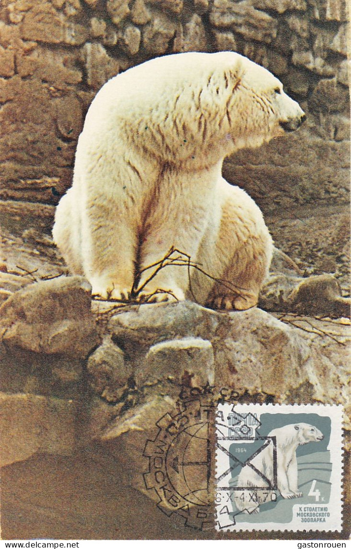 Carte Maximum Russie Russia 2823 Ours Bear - Maximumkaarten