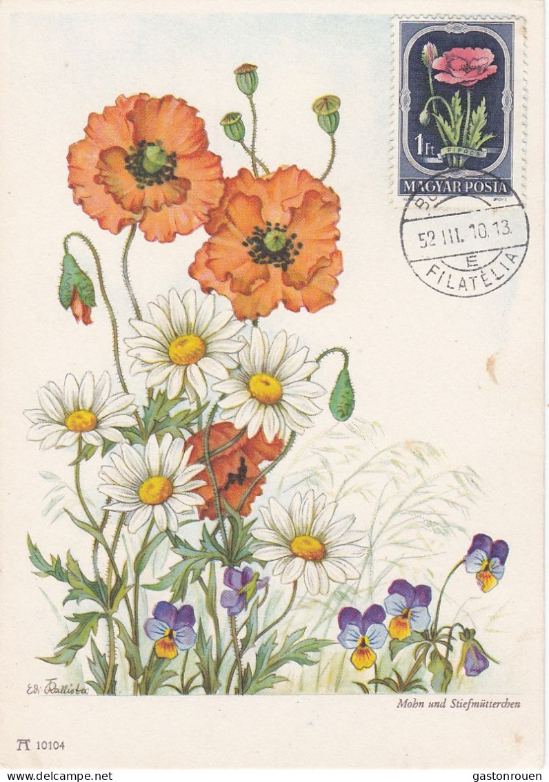 Carte Maximum Hongrie Hungary Fleur Flower 1027 Coquelicot  Poppy - Maximum Cards & Covers
