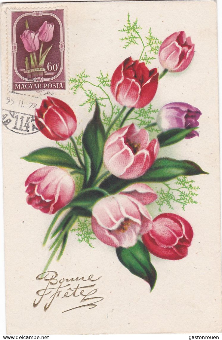 Carte Maximum Hongrie Hungary Fleur Flower 1026 Tulipe Tulip - Cartes-maximum (CM)