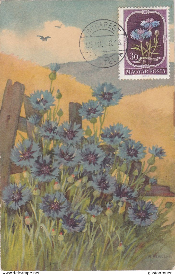 Carte Maximum Hongrie Hungary Fleur Flower 1024 Bleuet Cornflower - Cartoline Maximum