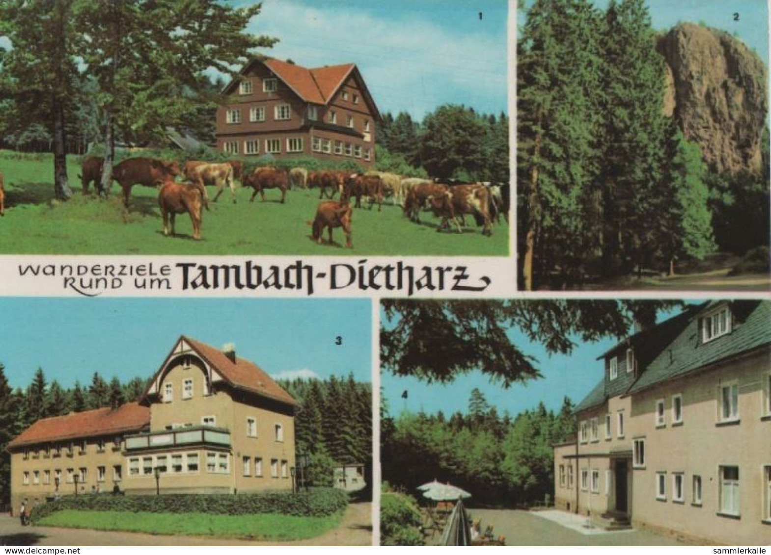 89101 - Tambach-Dietharz - U.a. Falkenstein - 1969 - Tambach-Dietharz