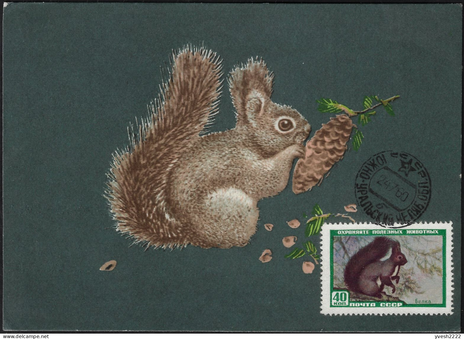 URSS 1959 Y&T 2182. Carte Maximum. Écureuil - Rodents