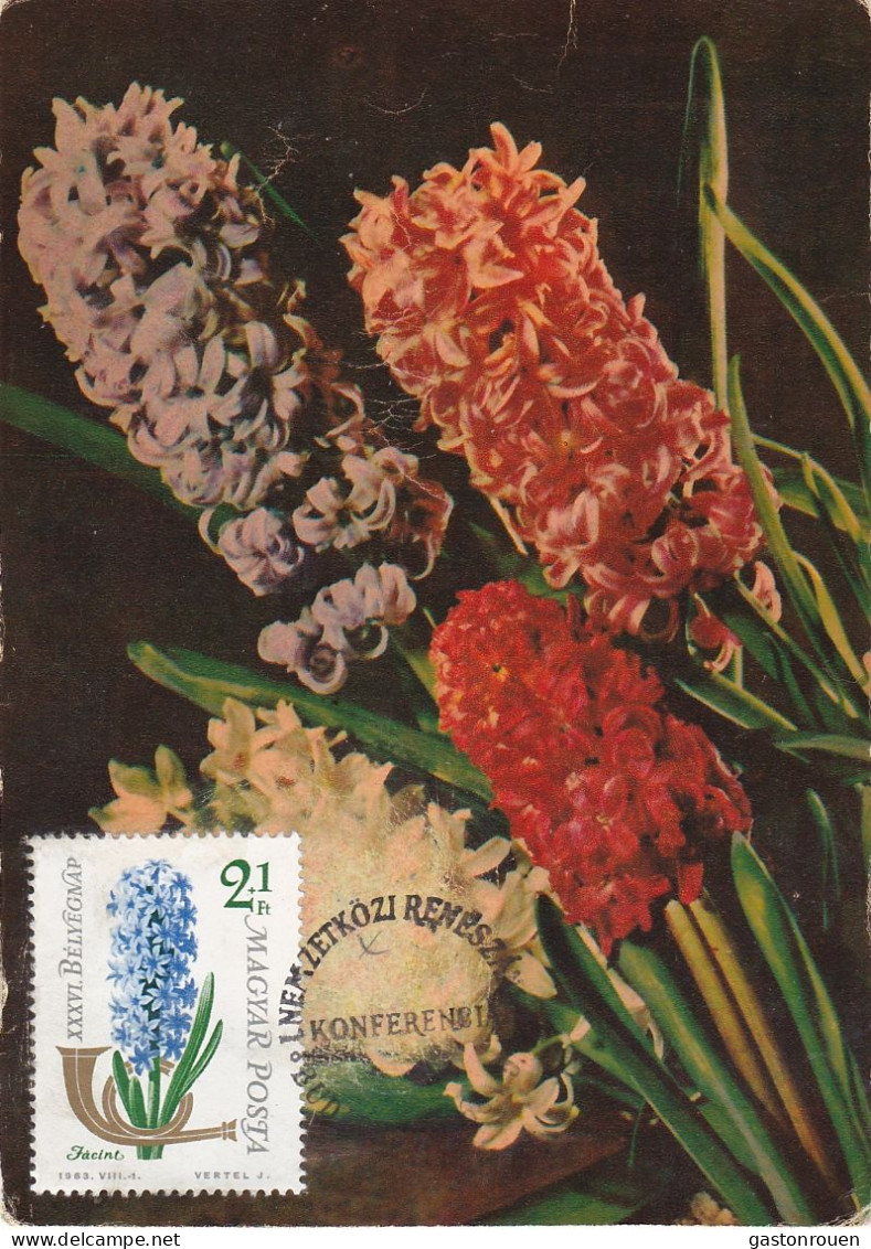 Carte Maximum Hongrie Hungary Fleur Flower 1595 Jacinthe Hyacinthe - Cartoline Maximum
