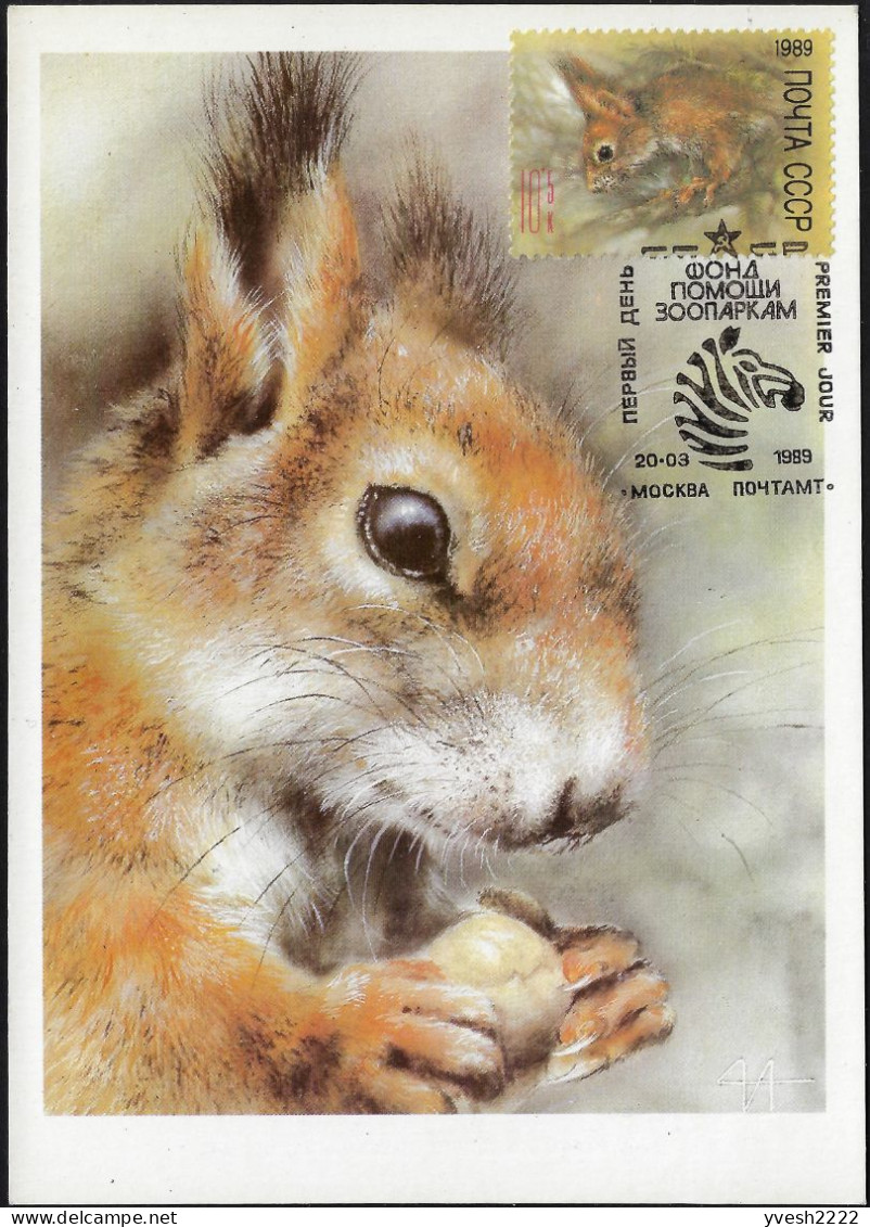 URSS 1989 Y&T 5615. Carte Maximum. Écureuil - Rodents