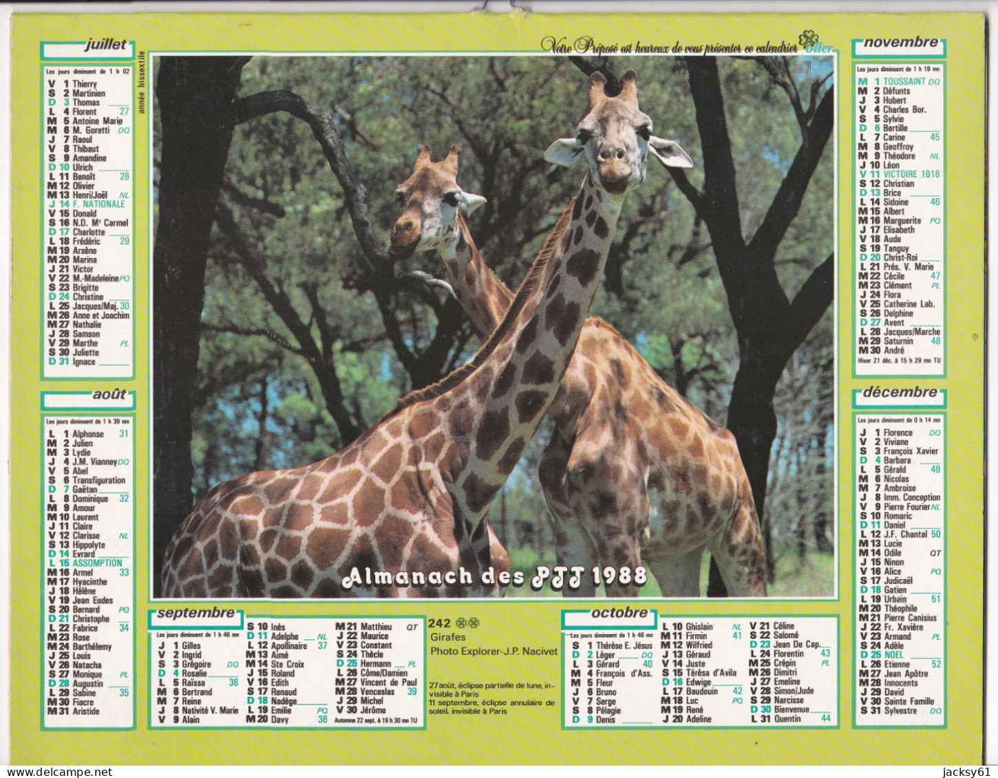 Almanach Des P.T.T.  1988 - Manchots - Girafes - Grand Format : 1981-90