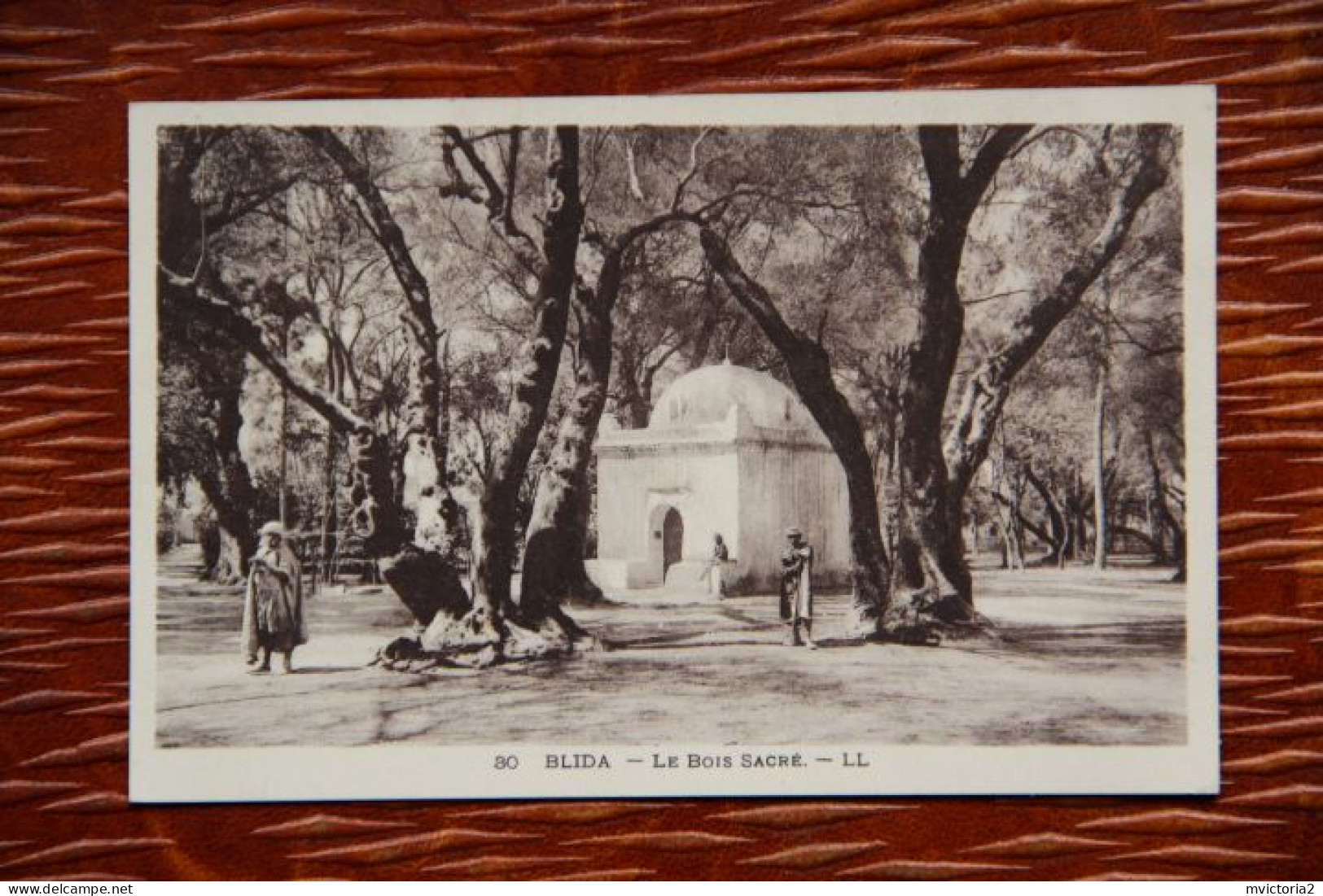 ALGERIE - BLIDA : Le Bois Sacré - Blida