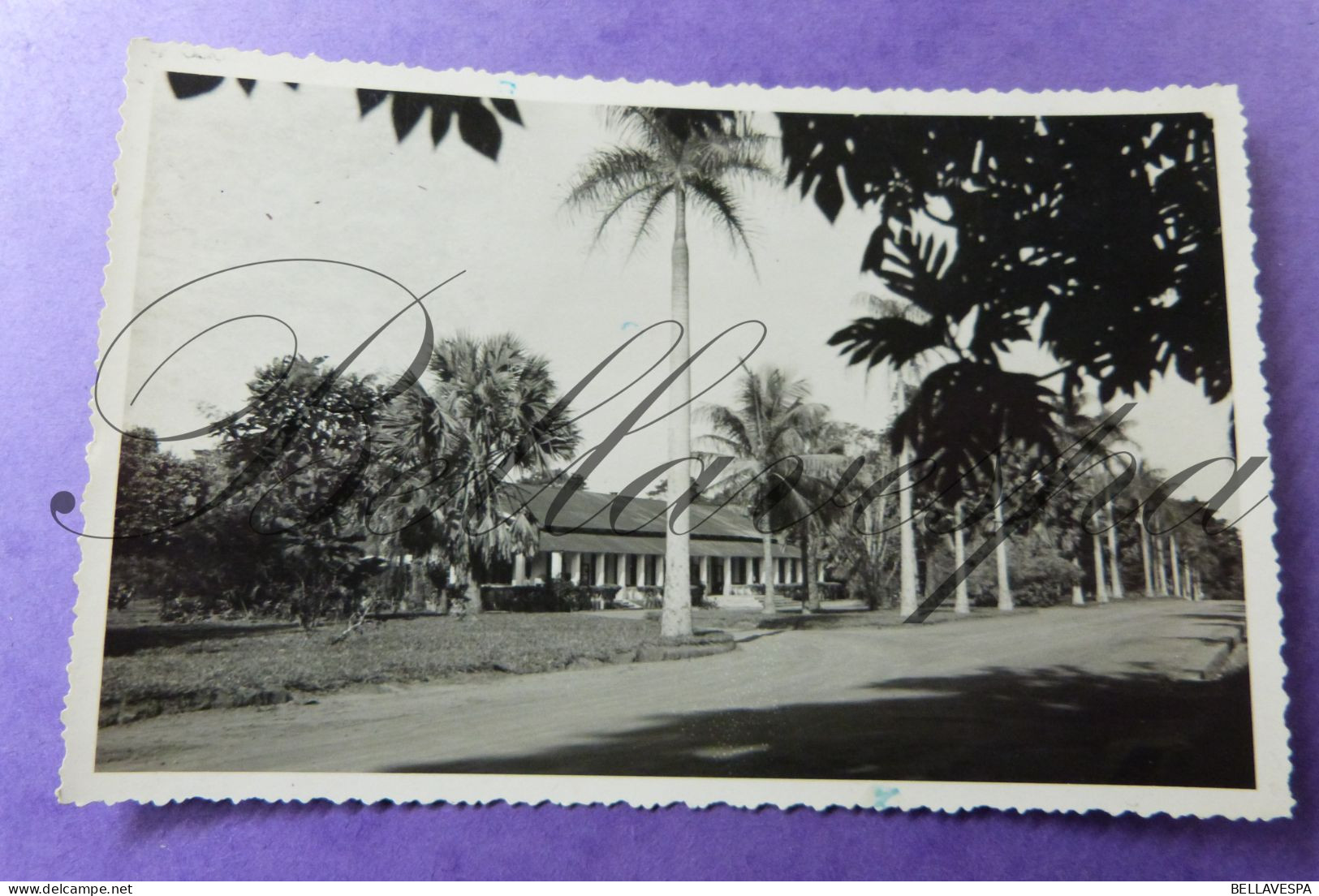 Belgisch Congo TANGANIKA ? 1939 & 1954 Verzonden Naar Wasserij Zonneklaar Aarschot Br Serneels/ 2 X Fotokaart - Dentergem