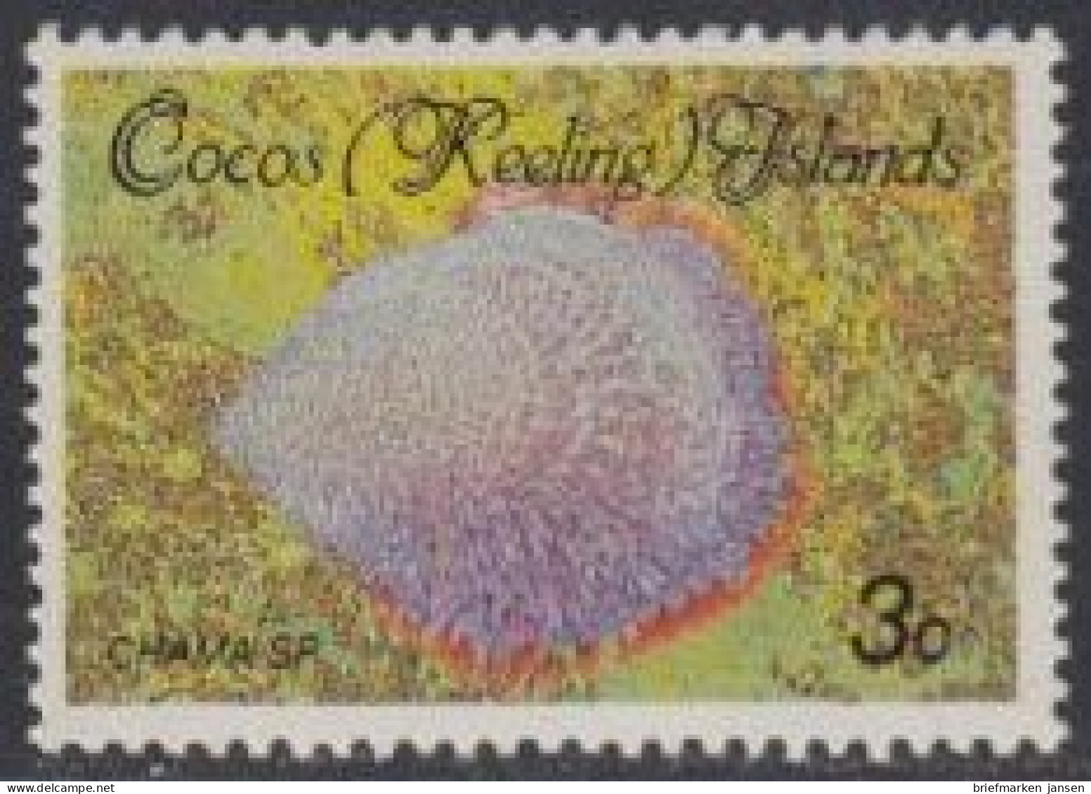 Kokos-Inseln Mi.Nr. 142 Freim. Muscheln+Schnecken, Chama Sp. (3) - Islas Cocos (Keeling)