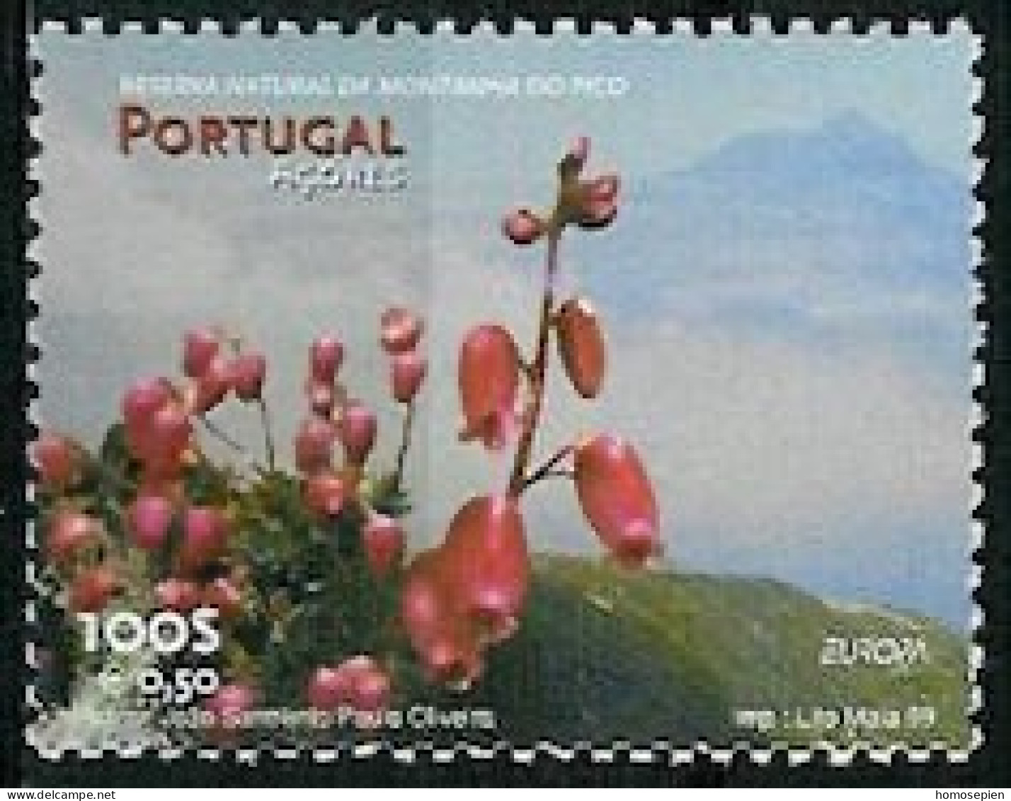 Europa CEPT 1999 Açores - Azores - Azoren - Portugal Y&T N°460 - Michel N°470 *** - 100e EUROPA - 1999