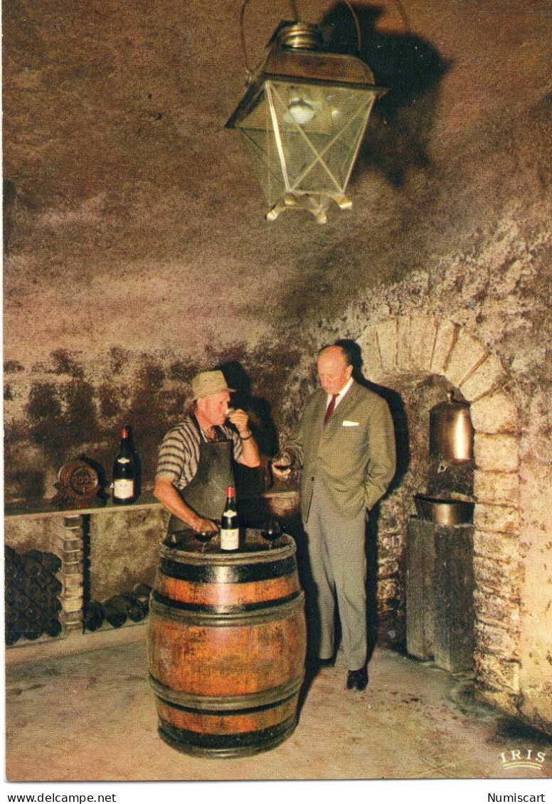 Gevrey-Chambertin Animée Caveau De Dégustation Domaine Pierre Damoy Cave à Vin - Gevrey Chambertin