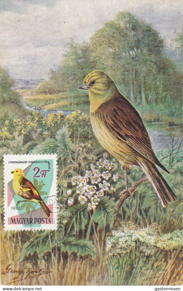 Carte Maximum Hongrie Hungary Oiseau Bird 1484 Bruant Bunting - Maximumkaarten