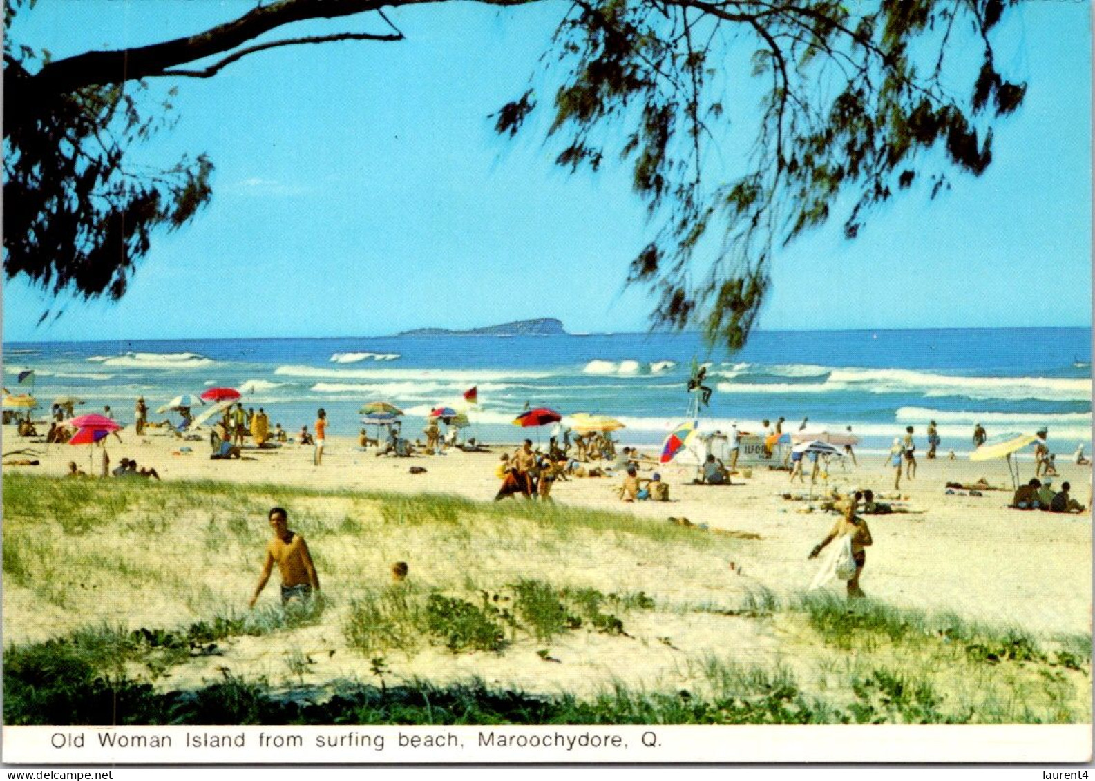 12-3-2025 (2 Y 46) Australia - QLD -  Old Women Island  - Maroochydore - Gold Coast