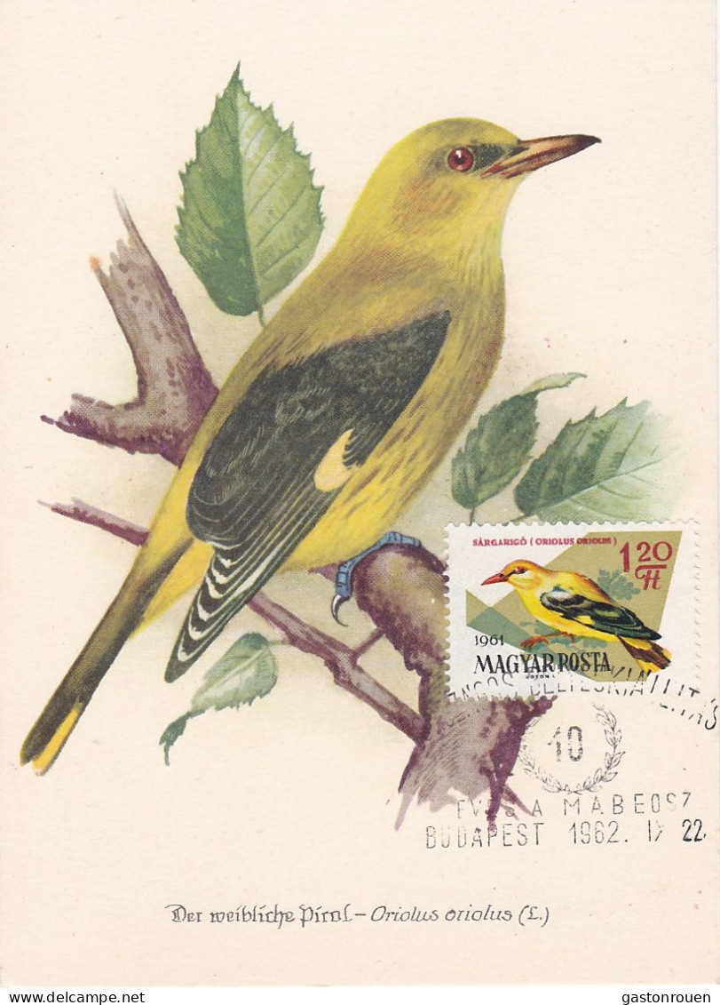 Carte Maximum Hongrie Hungary Oiseau Bird 1482 Loriot Oriole - Maximum Cards & Covers