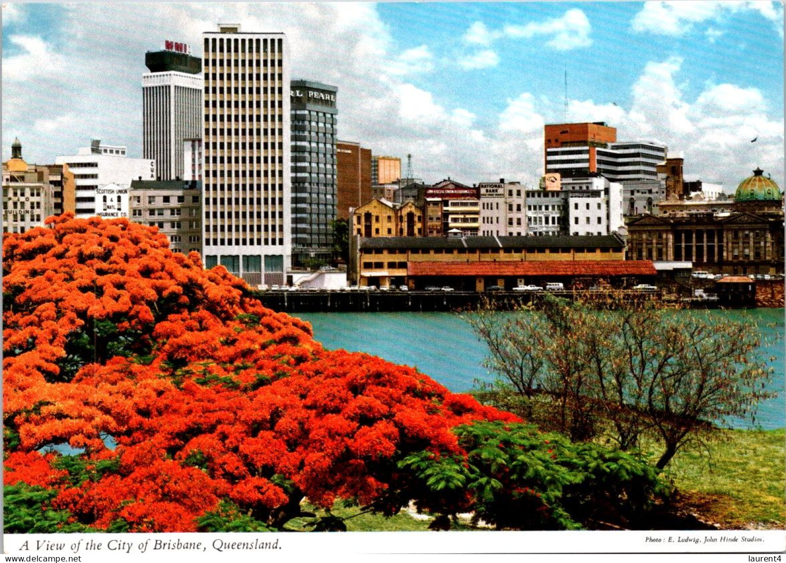12-3-2025 (2 Y 46) Australia - QLD - City Of Brisbane & Flower Ttree - Brisbane